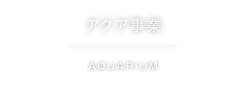 アクア事業 AQUARIUM